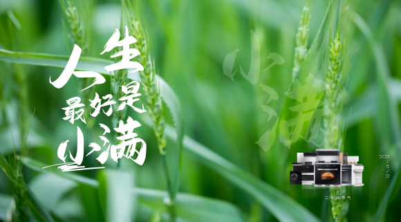 十大品牌科恩集成灶：廚房亦需“小滿”！